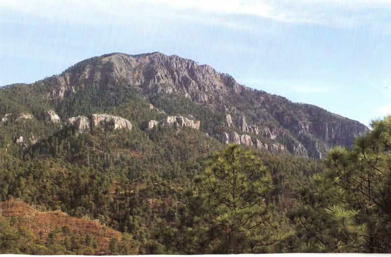 ملف:CERRO DE MOHINORA.jpg
