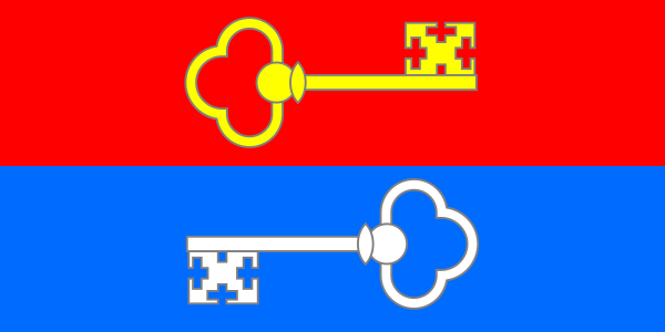 ملف:Flag of Pietrykaŭ.svg