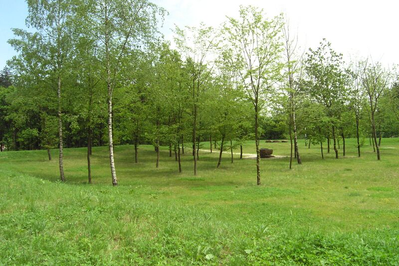 ملف:Kleinkastell Freimühle 1.JPG