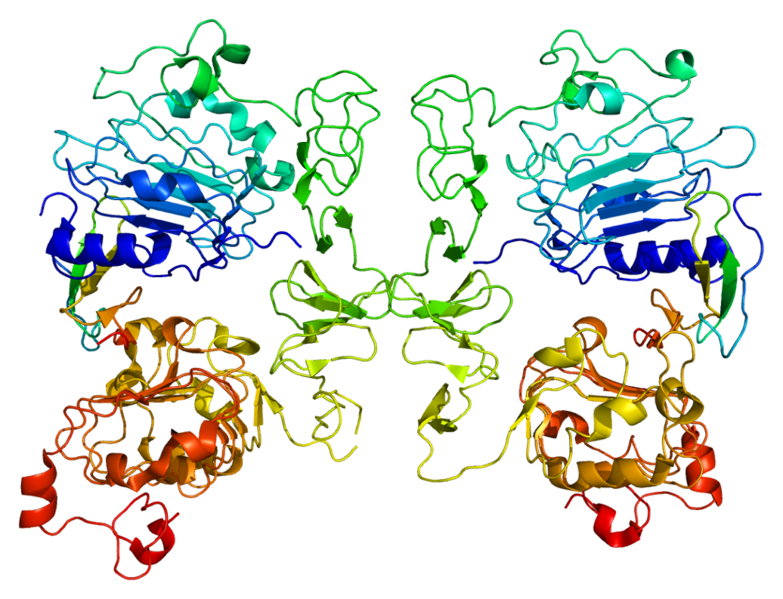 ملف:Protein TGFA PDB 1mox.png