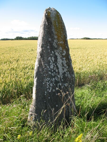 ملف:Vg 20, Västanåker.JPG