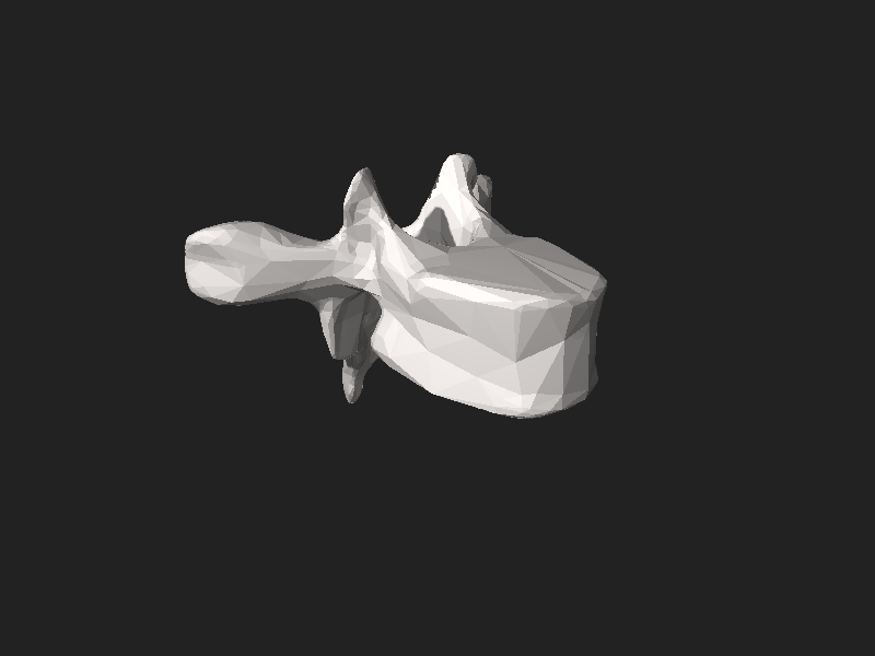 ملف:BodyParts3D FJ3171 Sixth thoracic vertebra.stl