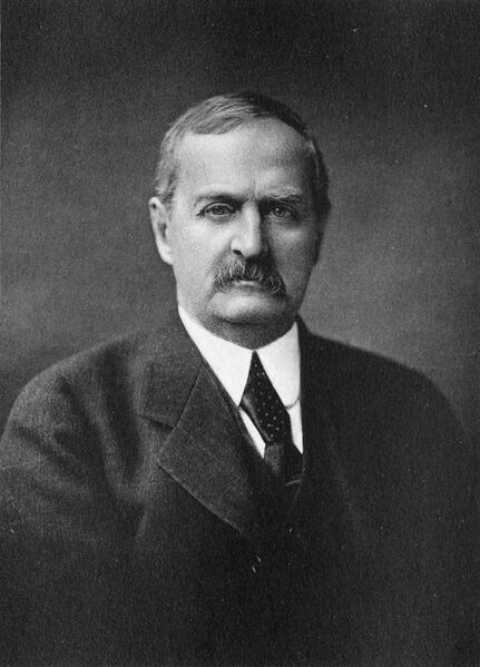 ملف:Henry Cadwalader Chapman.jpg