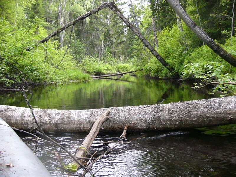 ملف:Татош - panoramio.jpg