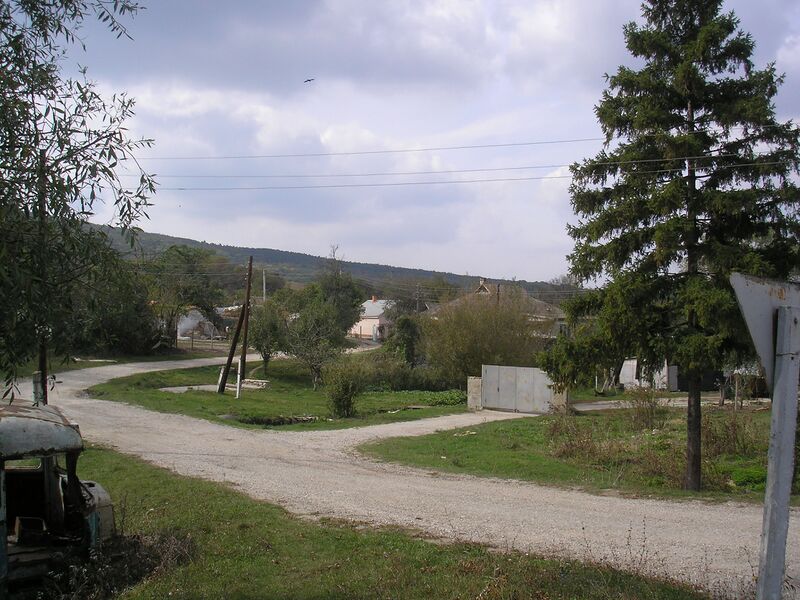 ملف:Chokrak 1.JPG