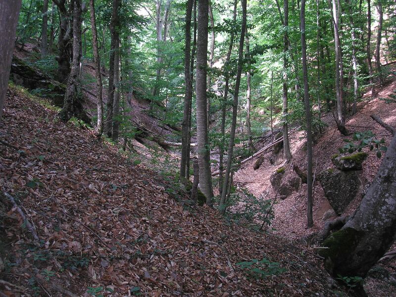 ملف:UskutRiver 2.JPG