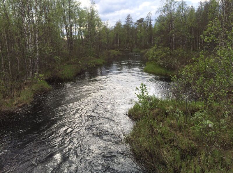 ملف:Река Така 1.jpg