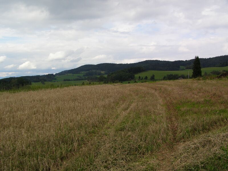 ملف:Jestrebi hory-odolov.JPG