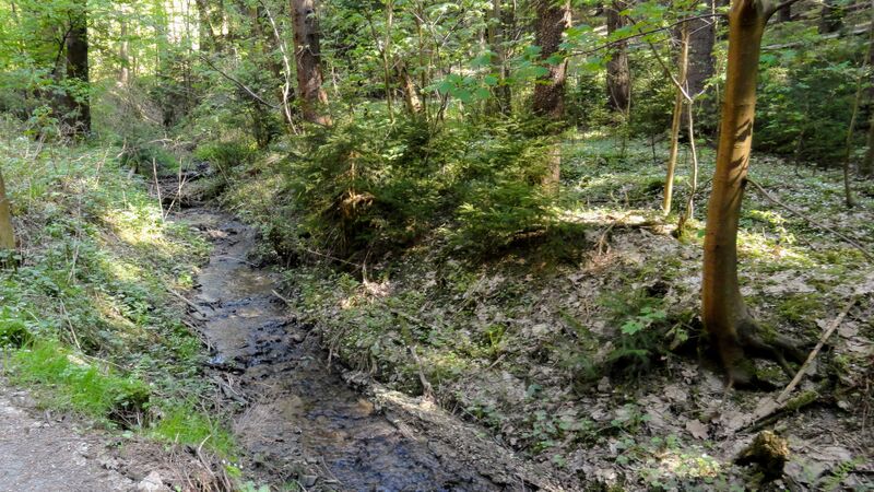 ملف:Brlenka HorniTok.jpg