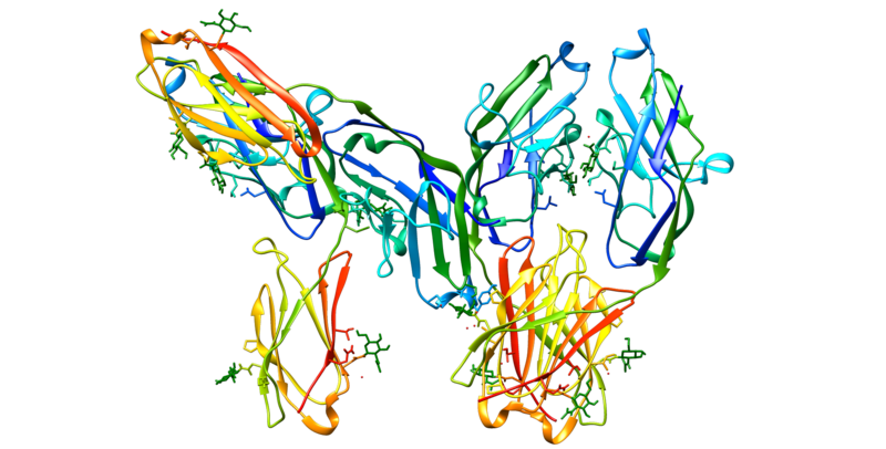 ملف:CD33 protein.png