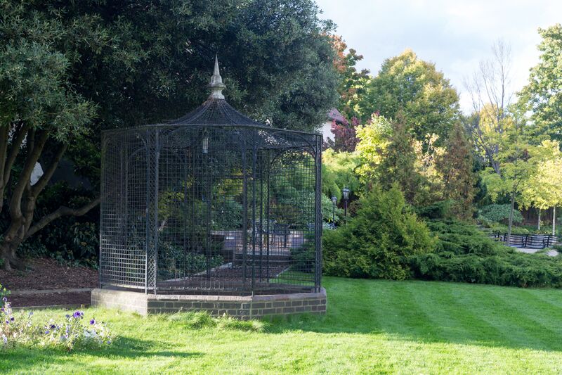 ملف:HE1066049 Raven Cage (2).jpg