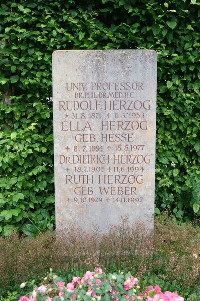 ملف:Herzog Rudolf a.jpg