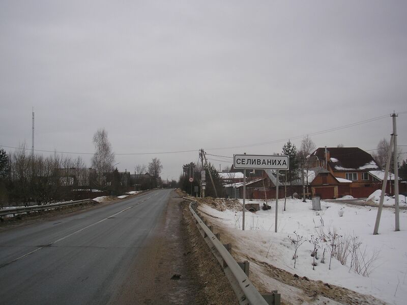 ملف:Selivaniha 1.JPG