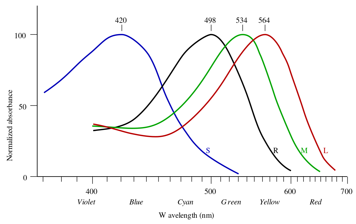 ملفConeresponse.svg المعرفة