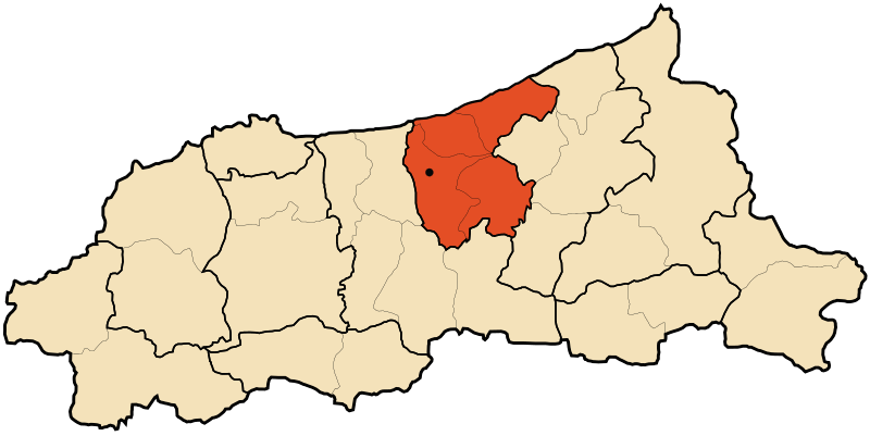 ملف:DZ 18 Chekfa District.svg