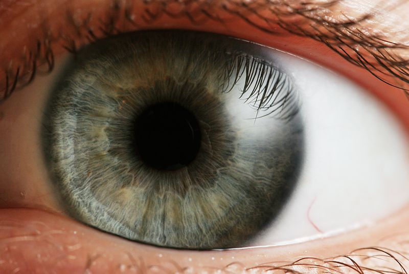 ملف:Eye iris.jpg