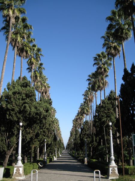 ملف:Ramsar Walkway.jpg