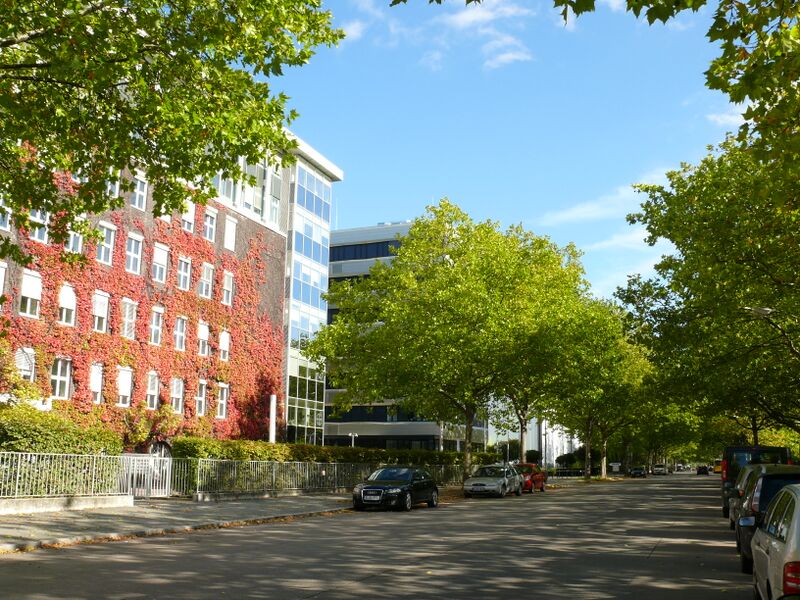 ملف:Charlottenburg-Nord Max-Dohrn-Straße-001.JPG