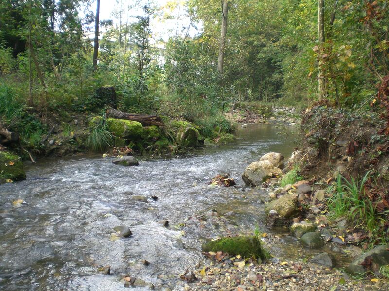 ملف:Drize River1.jpg