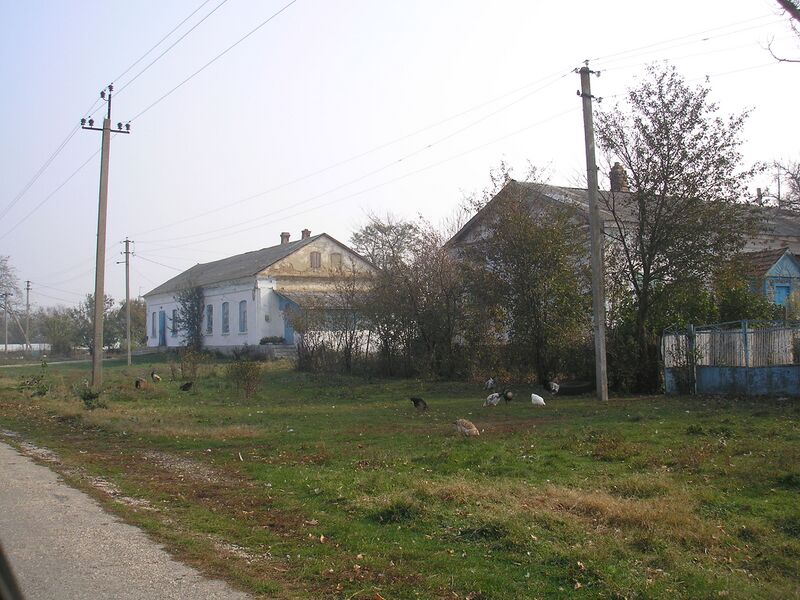 ملف:Protochnoe 4.JPG