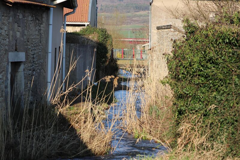 ملف:Ruisseau le Trey.jpg