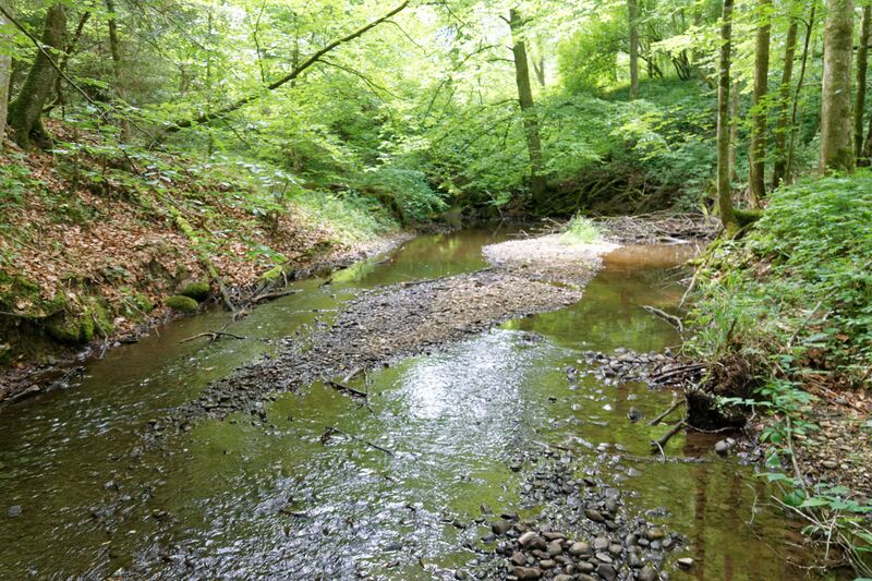 ملف:Gleißenbach bjs180519-03.jpg