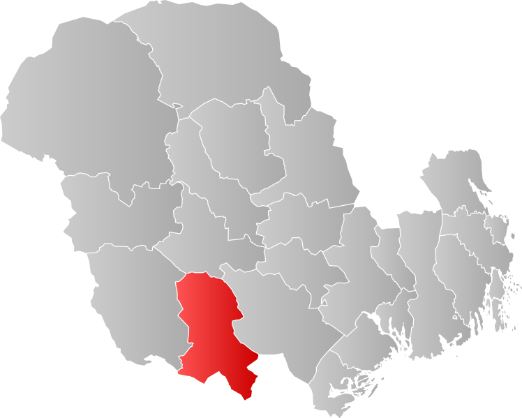 ملف:NO 3822 Nissedal.svg