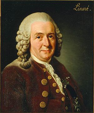 Carl von Linné.jpg