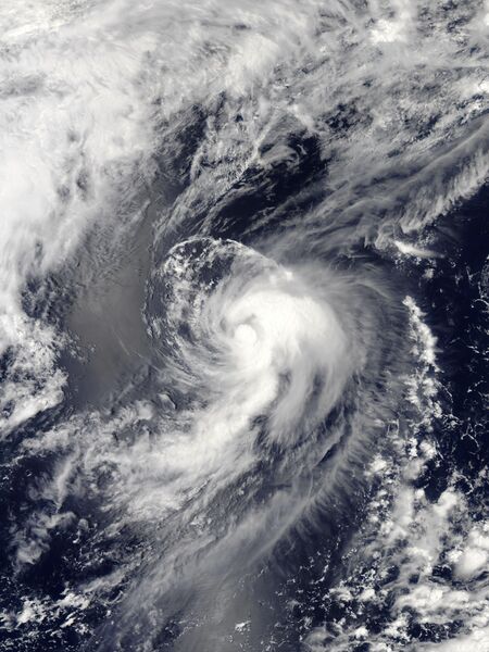 ملف:Champi 2021-06-26 0400Z.jpg