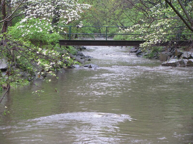 ملف:Four Mile Run.jpg