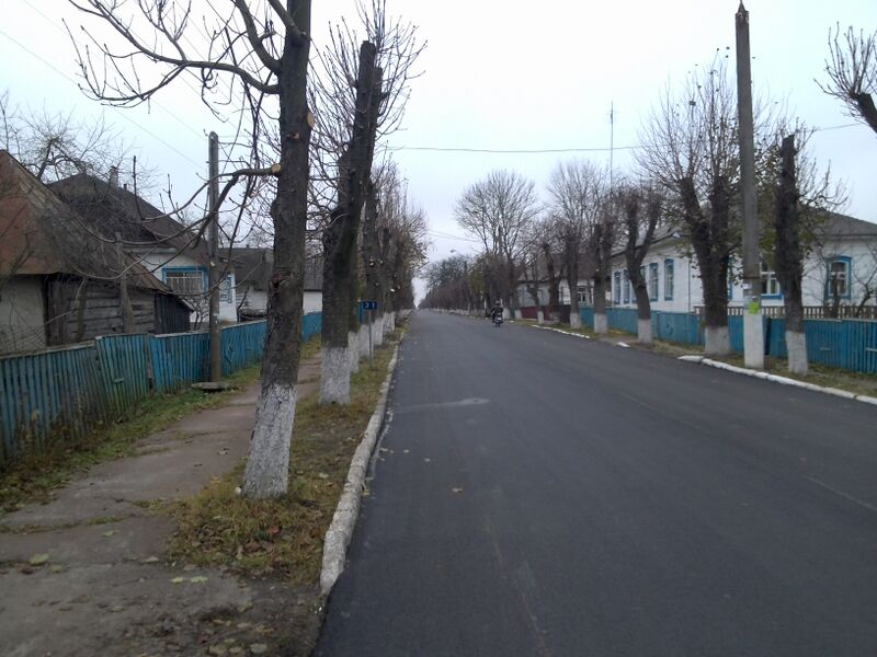 ملف:Narodychi 31.jpg