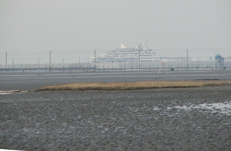 ملف:Banzu umihotaru.jpg