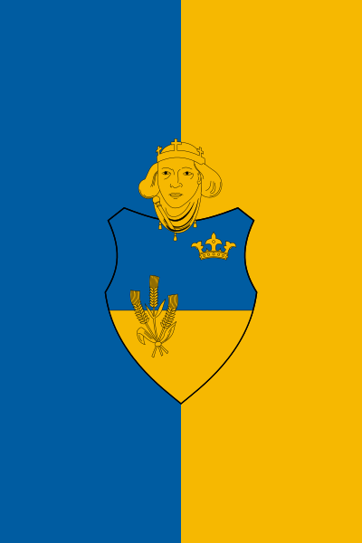 ملف:Flag of Küngös.svg