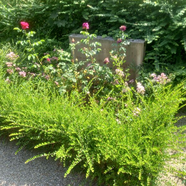 ملف:Grab Gustav Hölscher.jpg