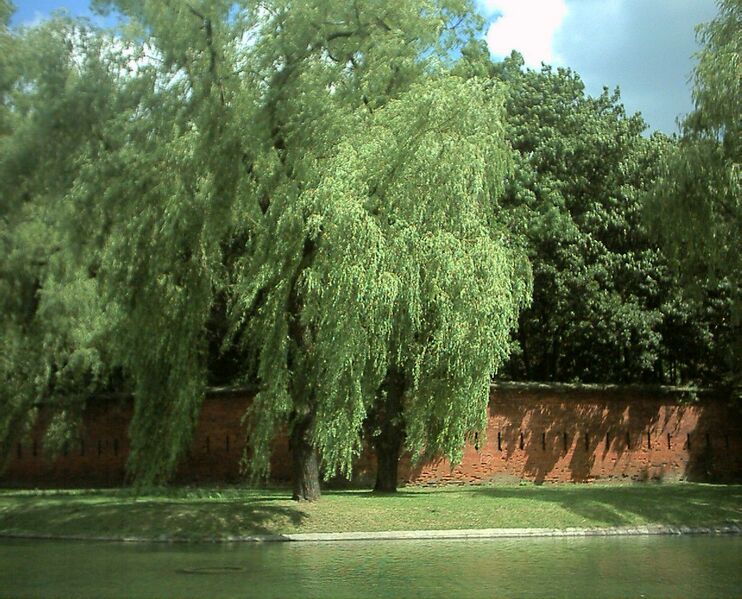 ملف:Poland Warsaw citadel.jpg