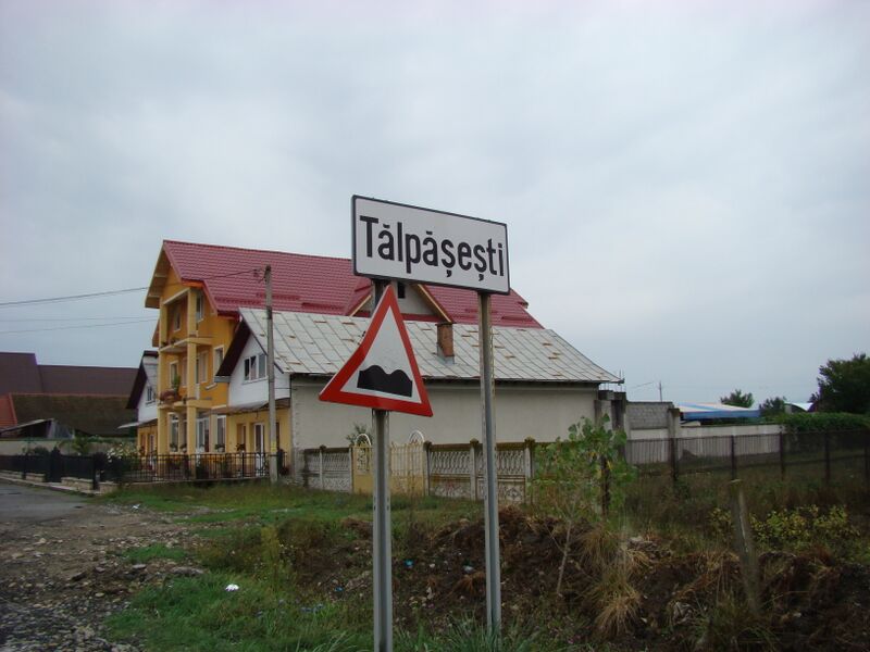 ملف:RO GJ Talpasesti 1.jpg