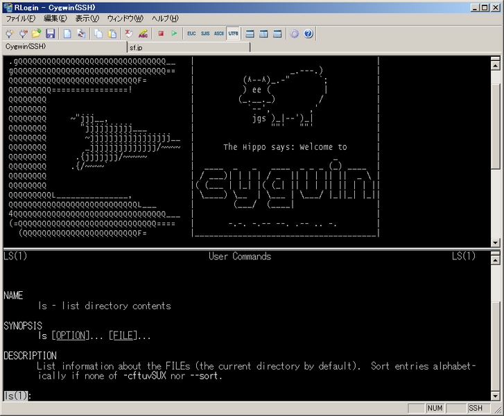 ملف:Rlogin sample.png
