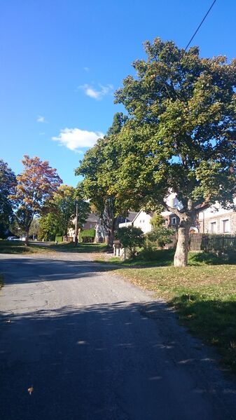 ملف:Čestětín, náves.jpg