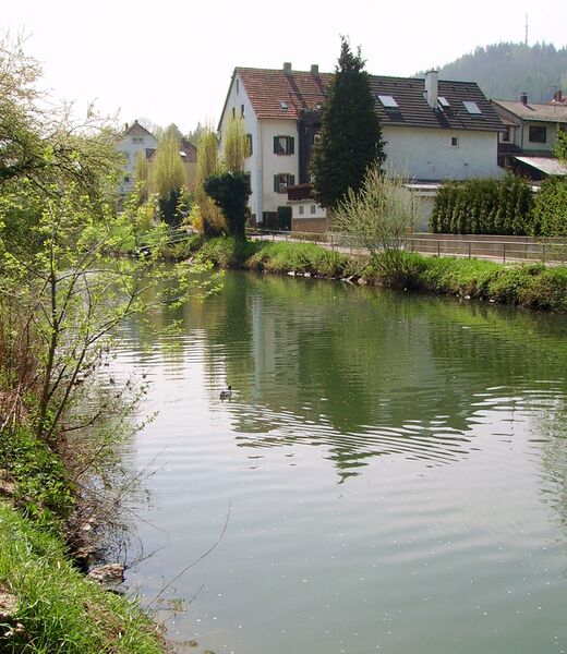 ملف:Elsenz Neckargemuend.jpg