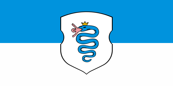 ملف:Flag of Pružany.svg