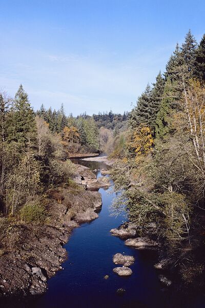 ملف:SandyRiver Oregon.jpg