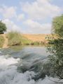 نهر الأردن (شلال صغير في شمال الأغوار)