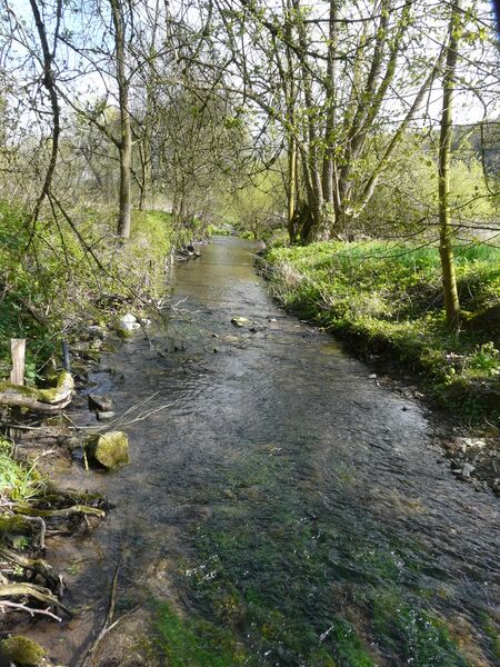 ملف:Saumer albaxen.JPG