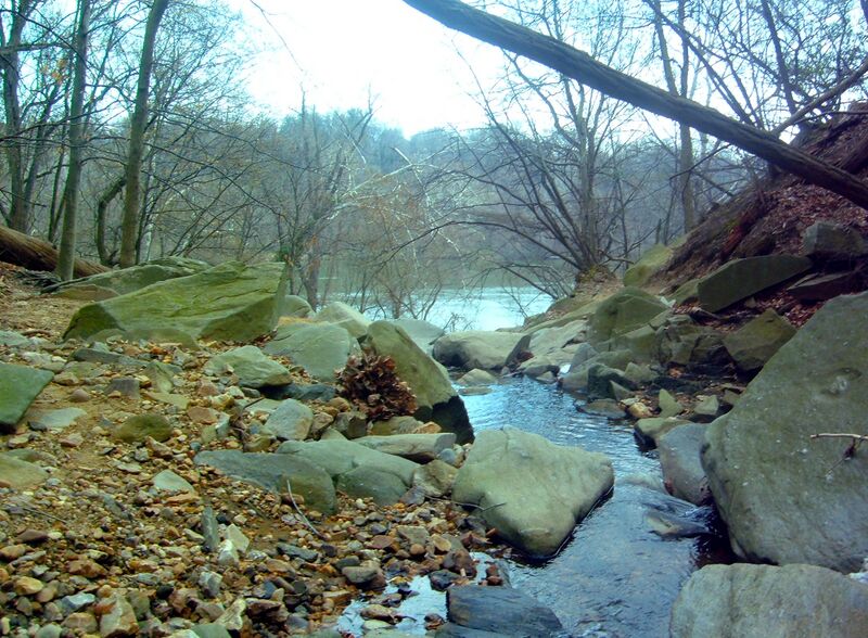 ملف:Windy Run.jpg