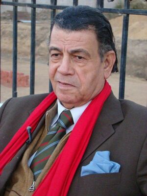 مصطفي الشامي3.jpg