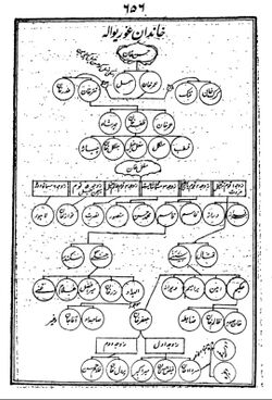 Family Lineage of Pashtun Tribe Mughal Khel