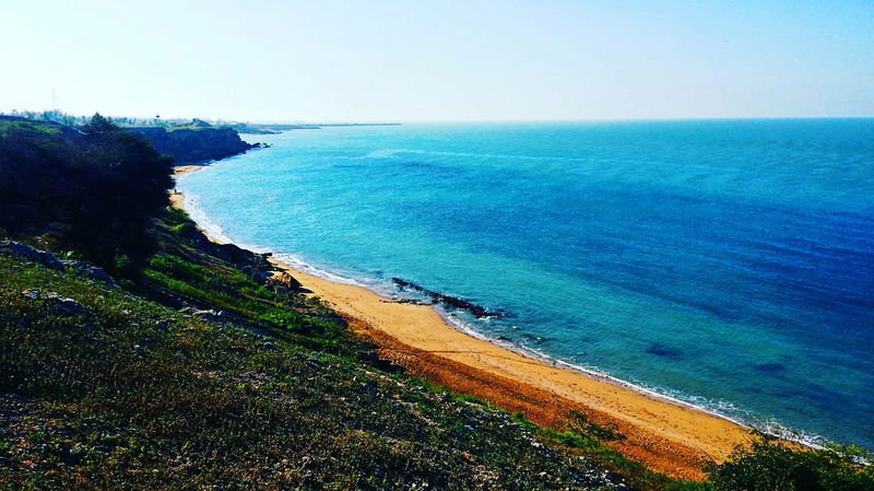 ملف:Reshehr view.png