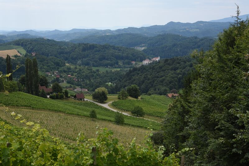 ملف:Svečina Kungota.JPG