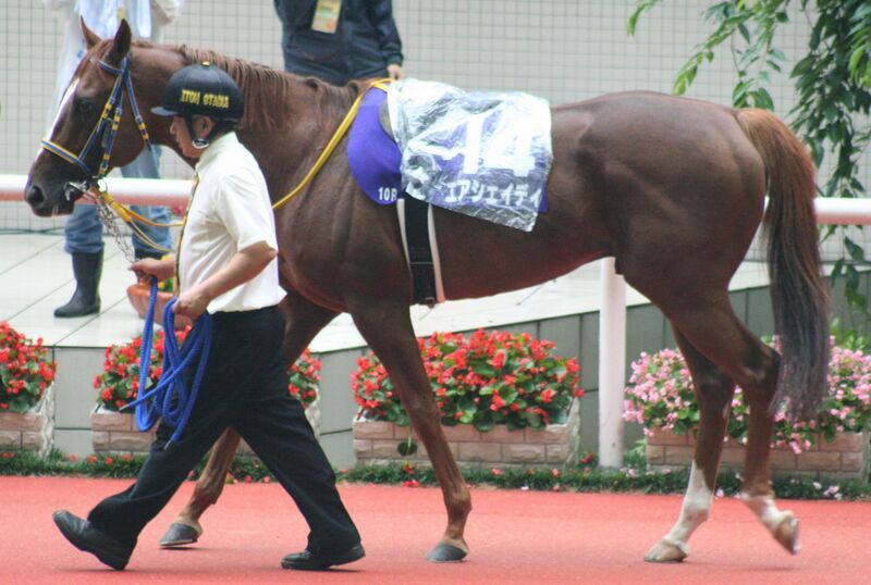 ملف:Air Shady 20080629P1.jpg