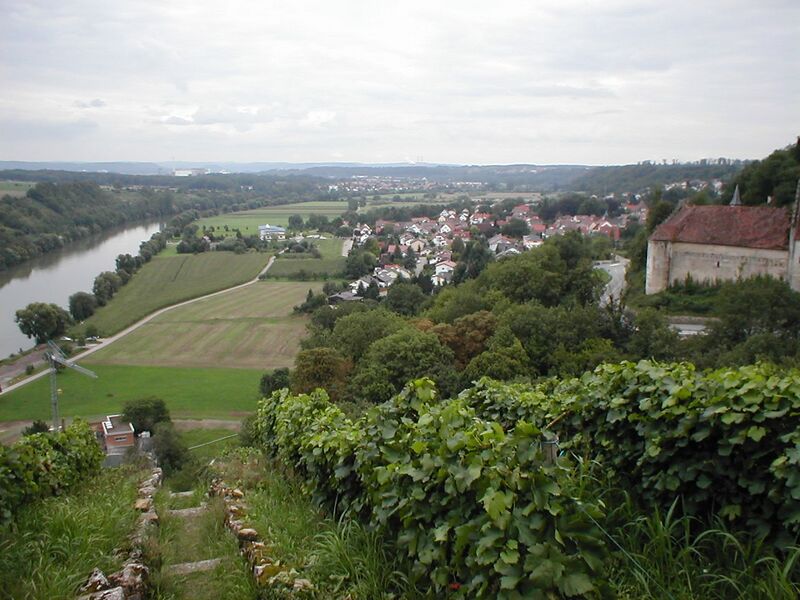 ملف:Heinsheim-panorama.JPG